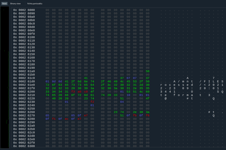 Pavlína Fichta Čierna, Dataportrét 2, vyvolávací cena 3000,-